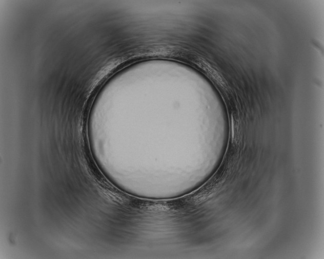 X0000097750483200804041106