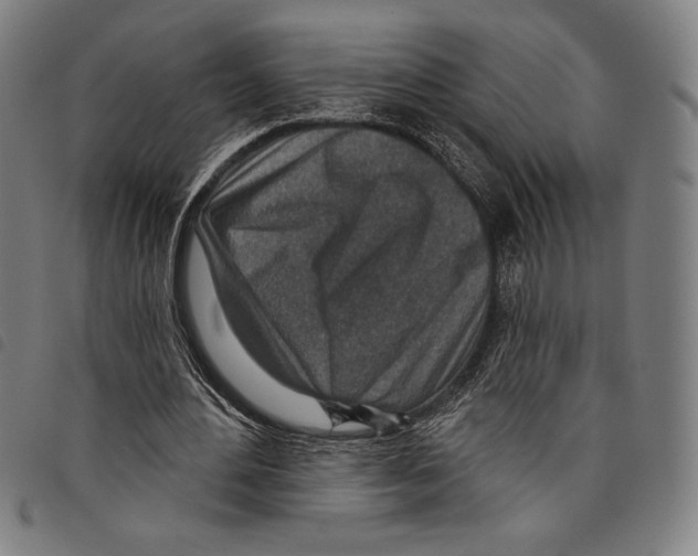 X0000097750484200804041106