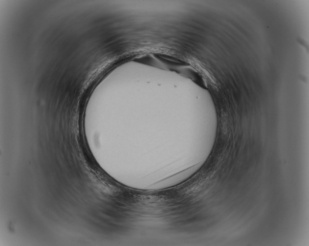 X0000097750486200804041106