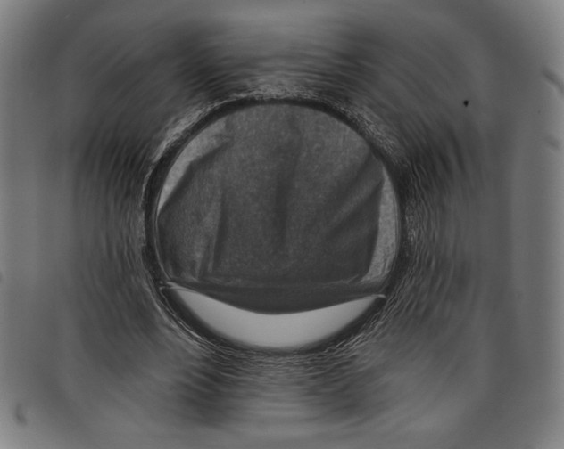 X0000097750488200804041106