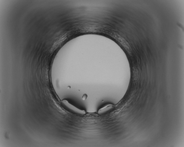 X0000097750489200804041106