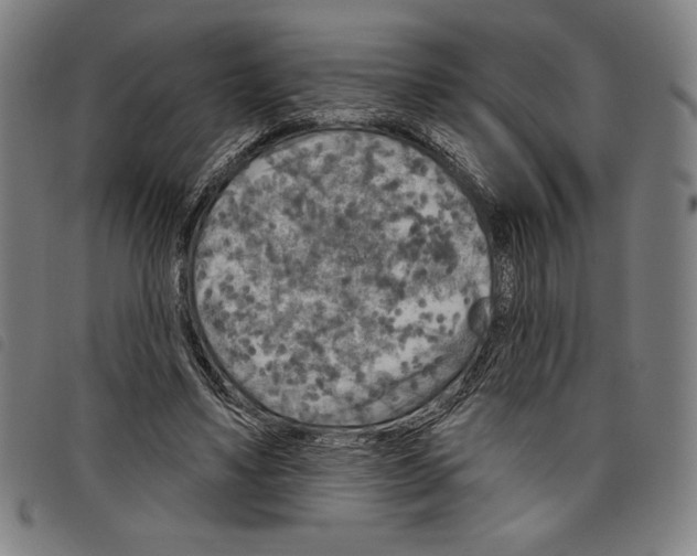 X0000097750491200804041106