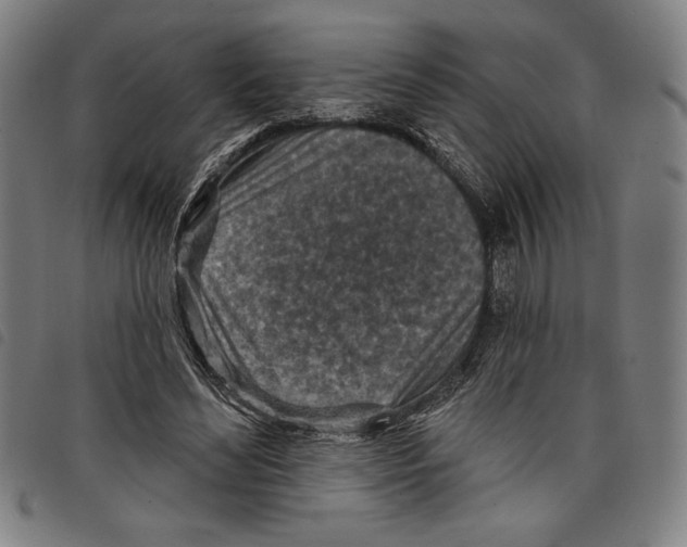 X0000097750492200804041106