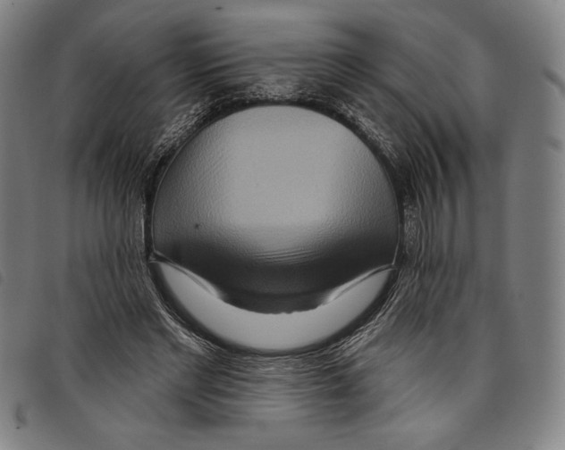 X0000097750493200804041106