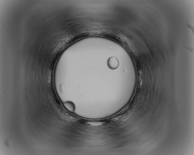 X0000097750495200804041106