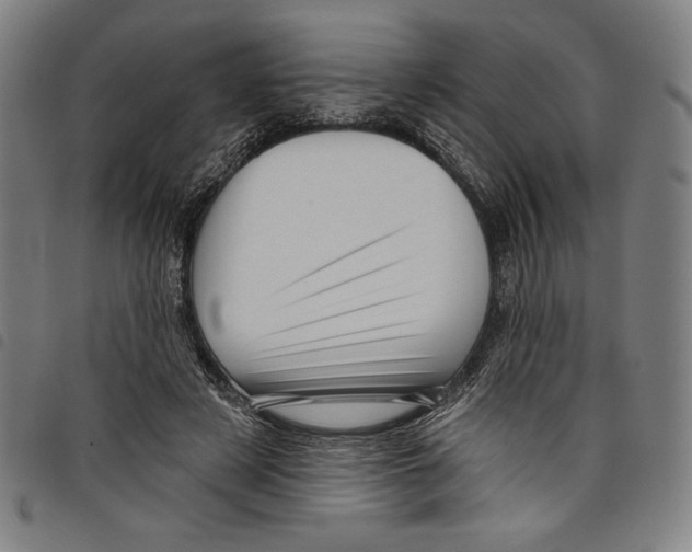 X0000097750497200804041106