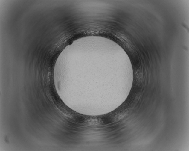 X0000097750499200804041106