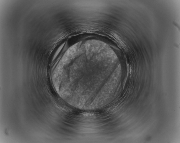 X0000097750500200804041106