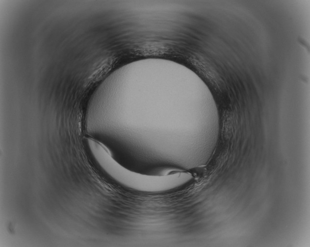 X0000097750501200804041106