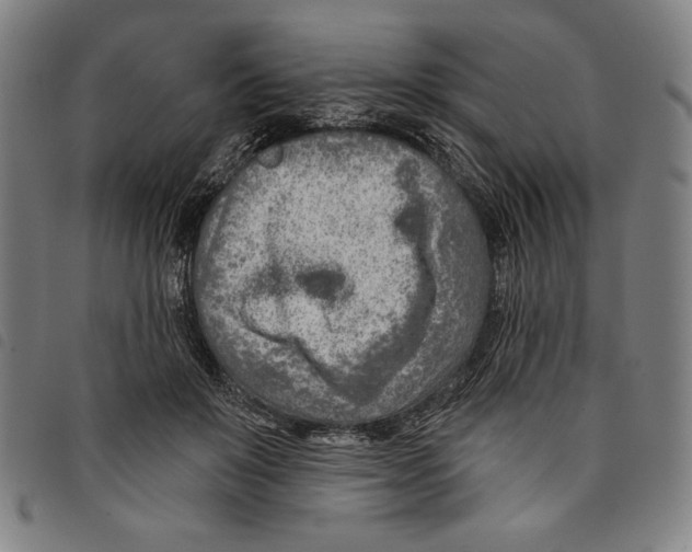 X0000097750503200804041106