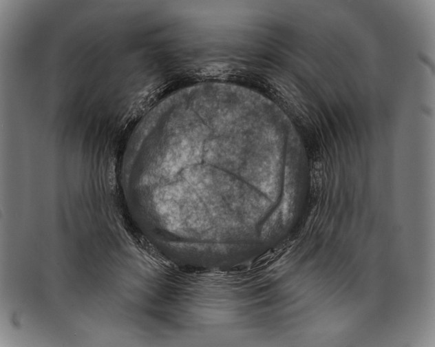 X0000097750504200804041106