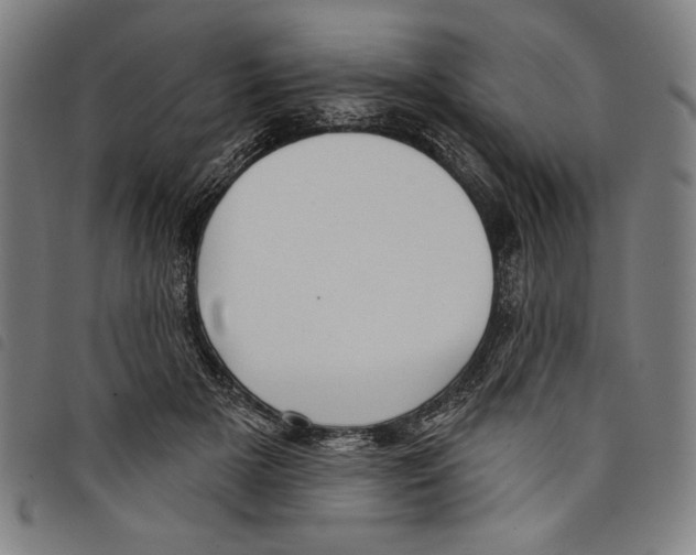 X0000097750505200804041106