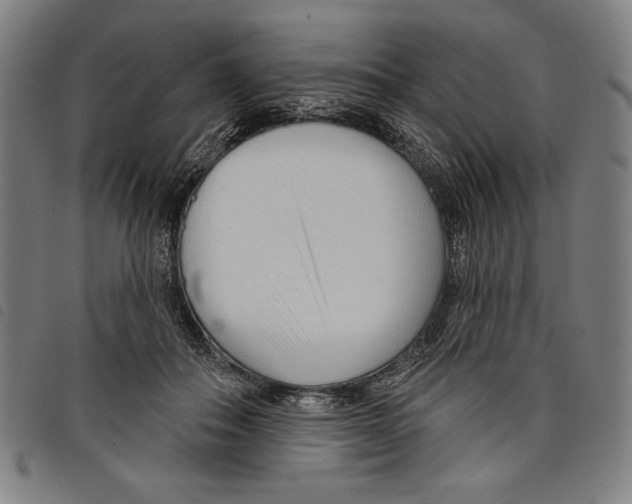 X0000097750506200804041106