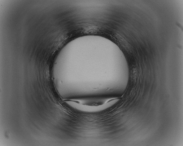 X0000097750508200804041106