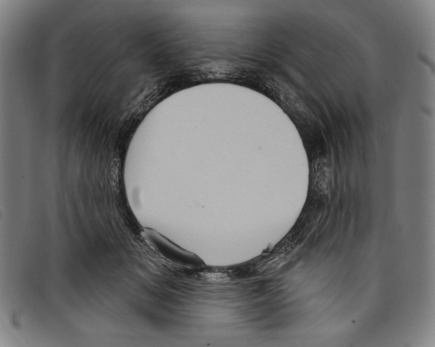 X0000097750509200804041106