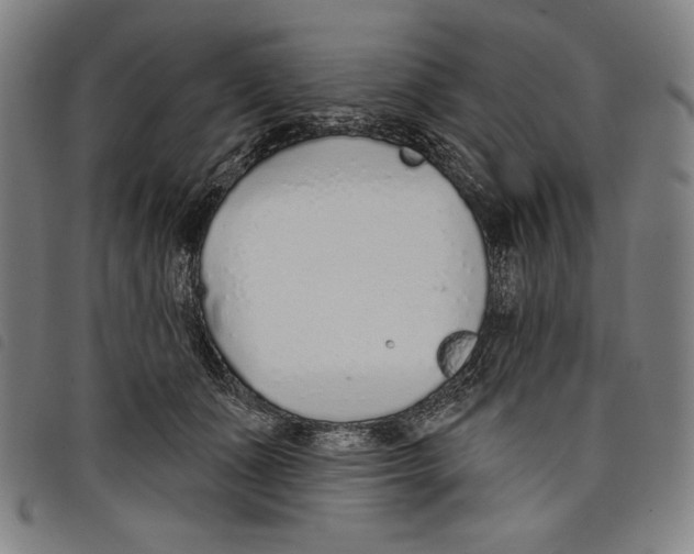 X0000097750511200804041106