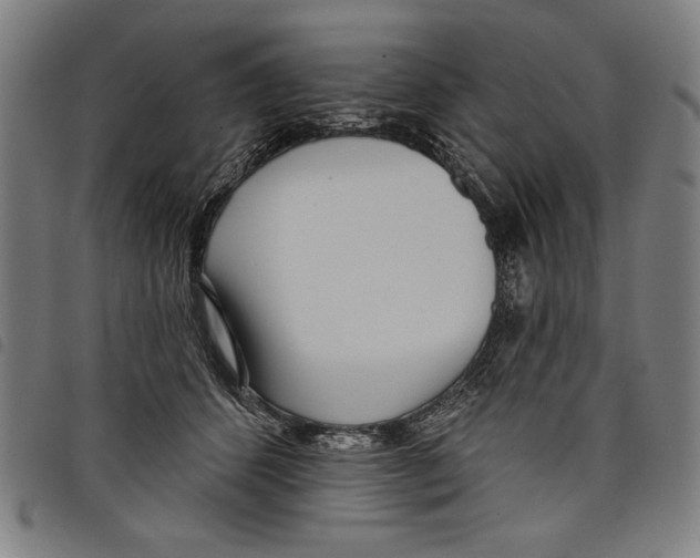 X0000097750512200804041106