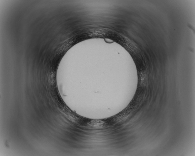 X0000097750514200804041106