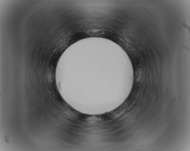 X0000097750515200804041106