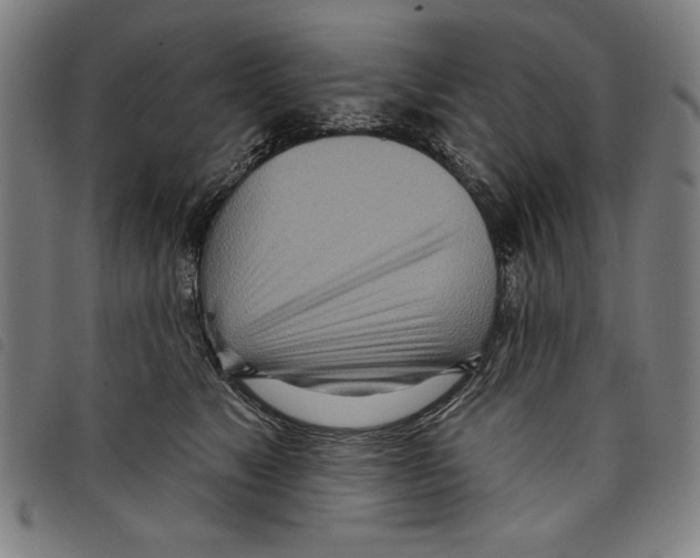 X0000097750517200804041106