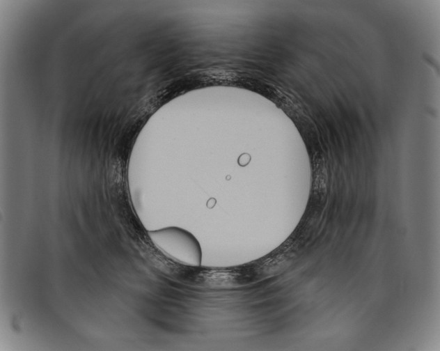 X0000097750518200804041106