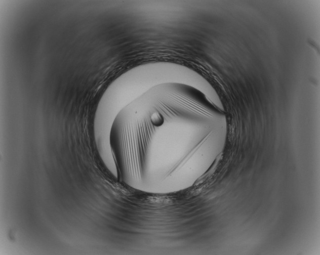 X0000097750520200804041106