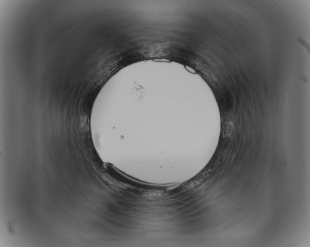 X0000097750521200804041106