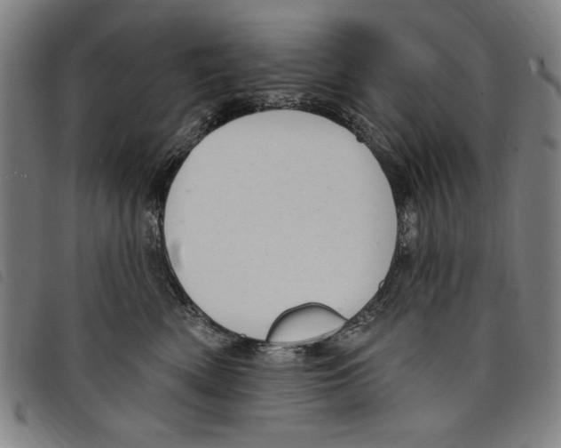 X0000097750522200804041106