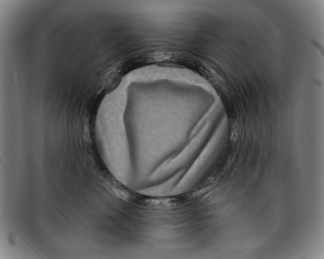 X0000097750524200804041106