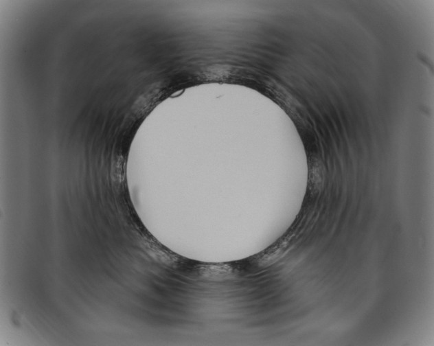 X0000097750525200804041106