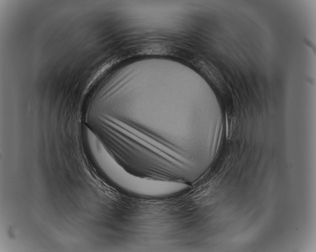 X0000097750531200804041105