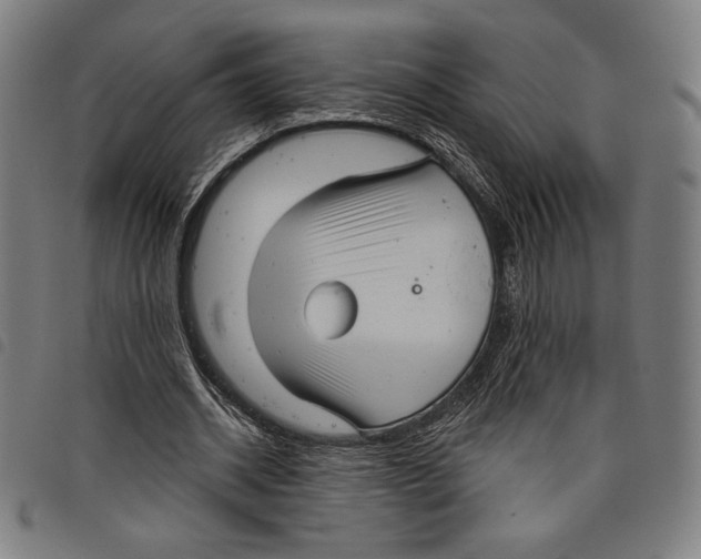 X0000097750534200804041105