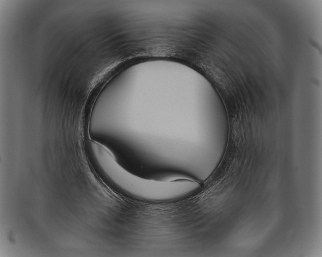 X0000097750536200804041105