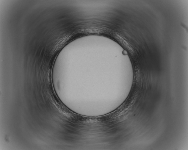 X0000097750537200804041105