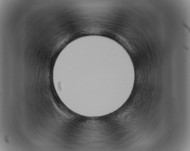 X0000097750538200804041105