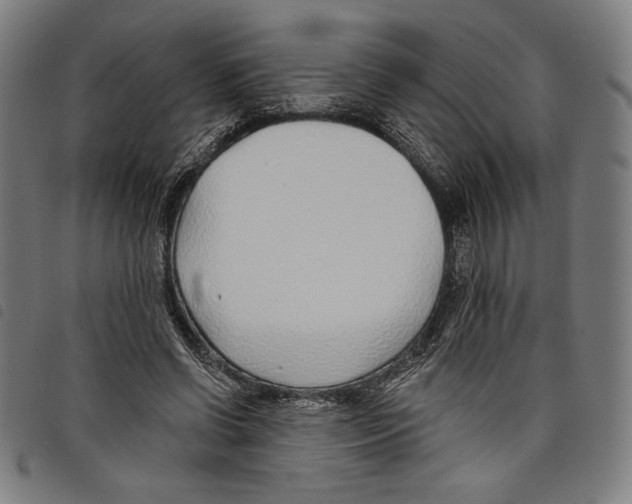 X0000097750542200804041105