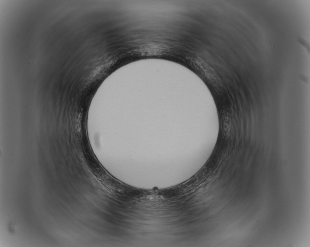 X0000097750543200804041105