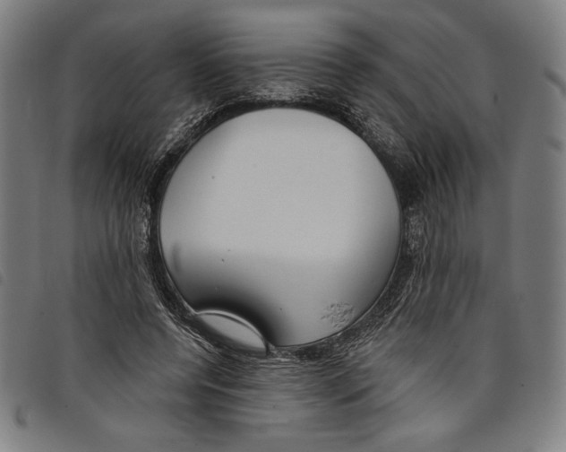 X0000097750544200804041105