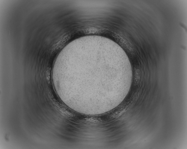 X0000097750545200804041105