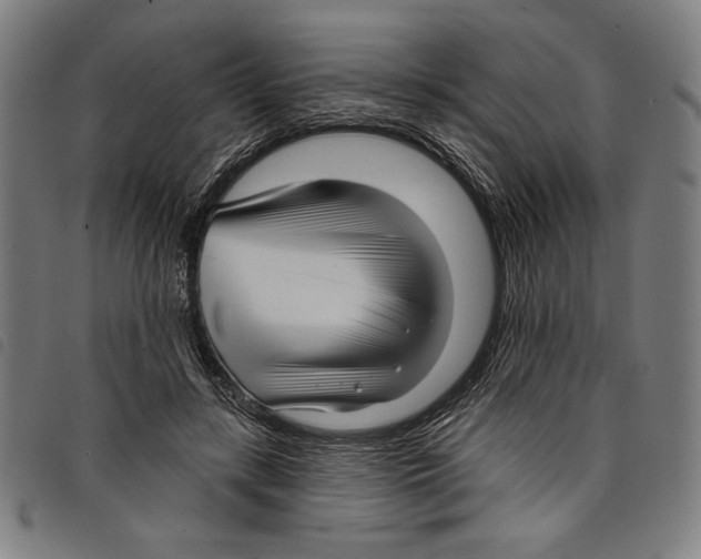 X0000097750547200804041105