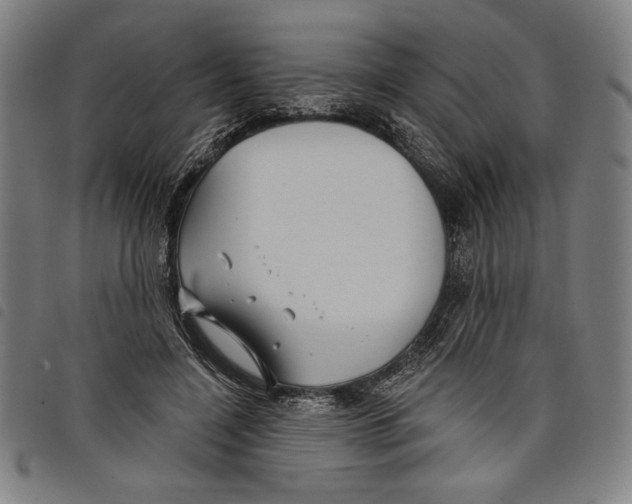 X0000097750548200804041105