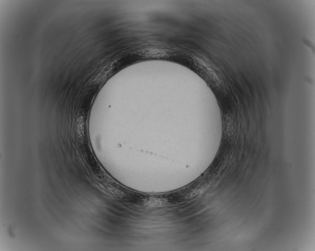 X0000097750549200804041105