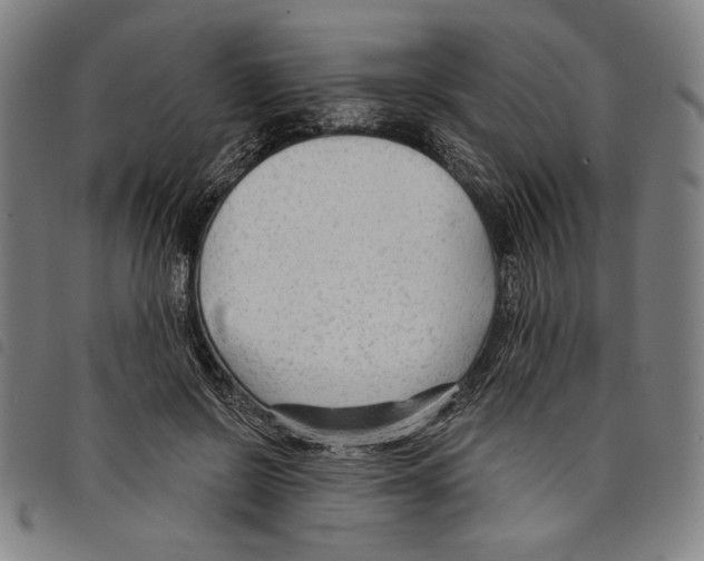 X0000097750550200804041105