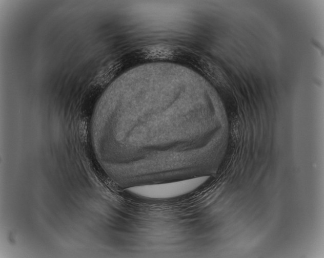 X0000097750551200804041105