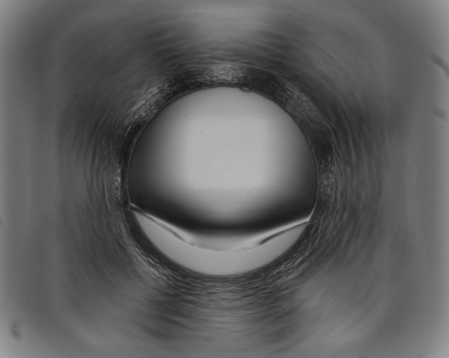 X0000097750552200804041105