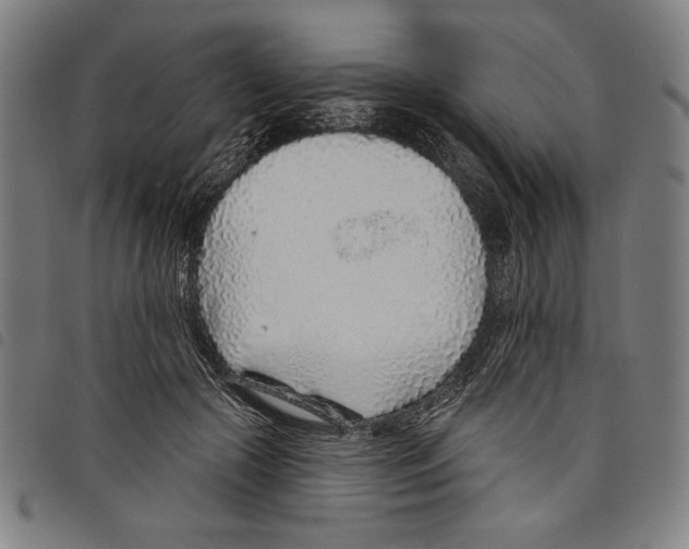 X0000097750553200804041105