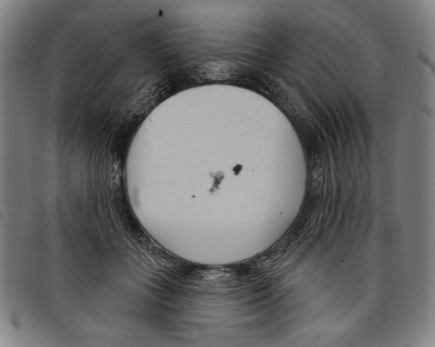 X0000097750555200804041105