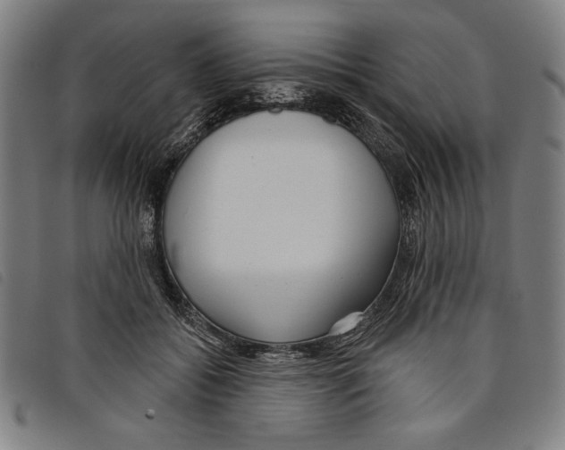 X0000097750556200804041105