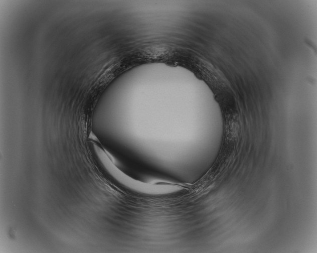 X0000097750558200804041105