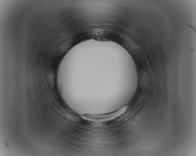 X0000097750562200804041105